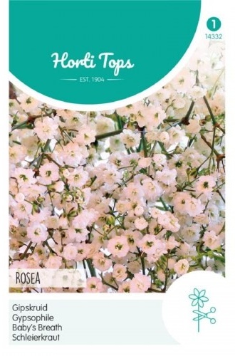 Gypsophila Elegans Rosea, Pink cca 1 g